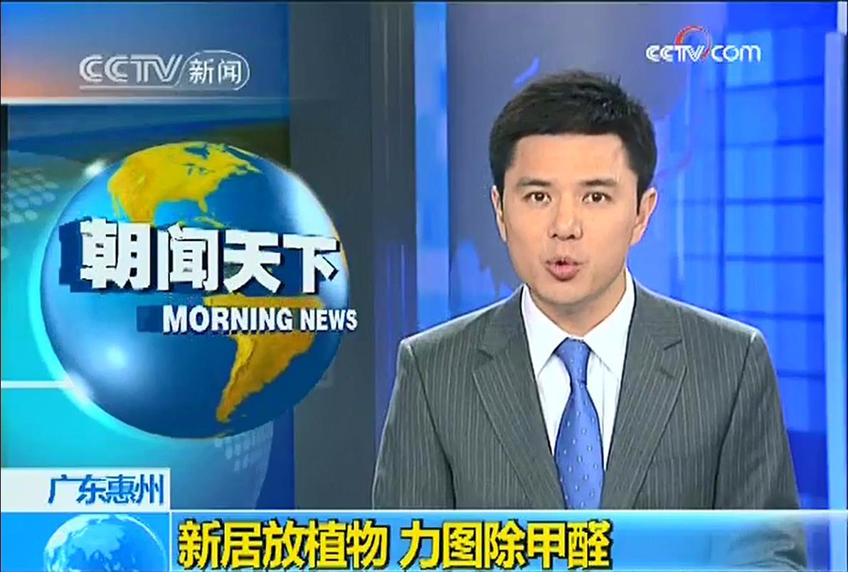 光觸媒和植物除甲醛哪個效果好？央視新聞有答案