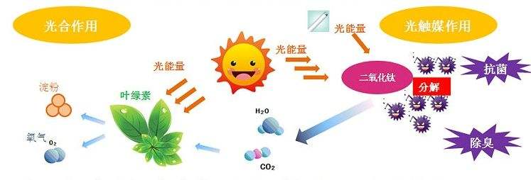 光觸媒除甲醛的弊端是什么