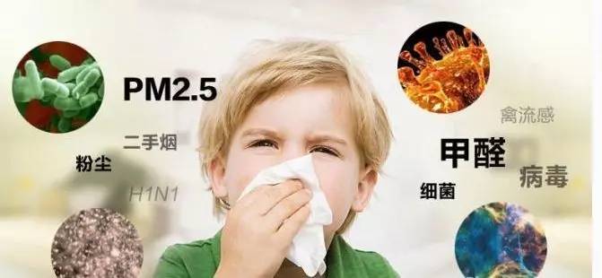 關(guān)于甲醛你必須知道的十件事